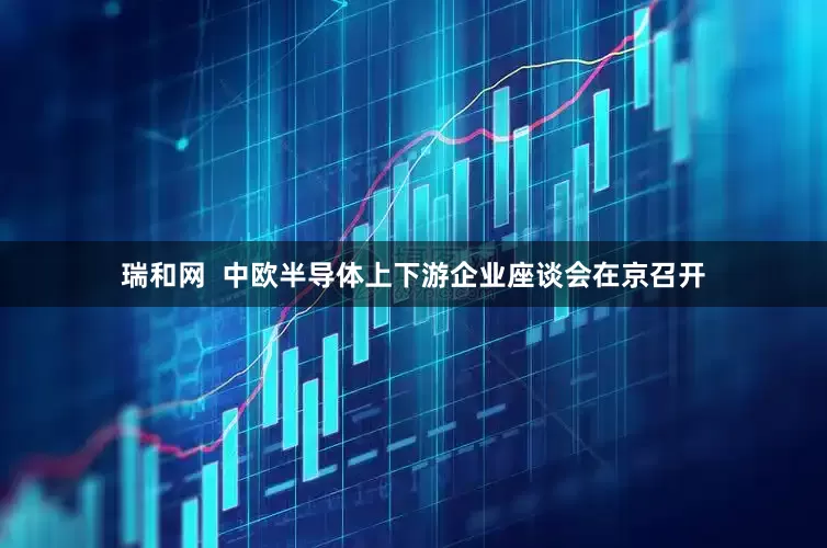 瑞和网  中欧半导体上下游企业座谈会在京召开