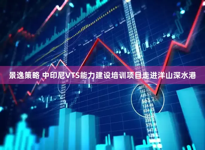 景逸策略 中印尼VTS能力建设培训项目走进洋山深水港