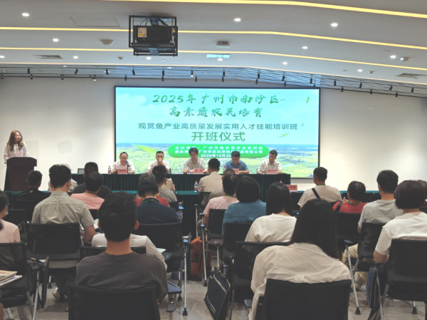 纯旭配资 开班啦！广州南沙开设观赏鱼培训班为产业“充电”，助力美丽经济游得更远